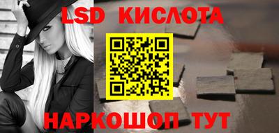 тгк Бердск