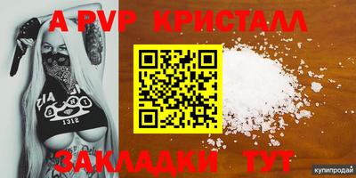 тгк Белореченск