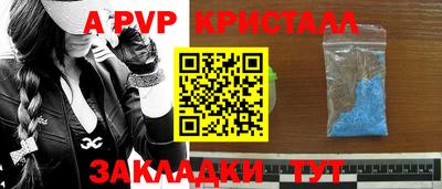 тгк Бердск