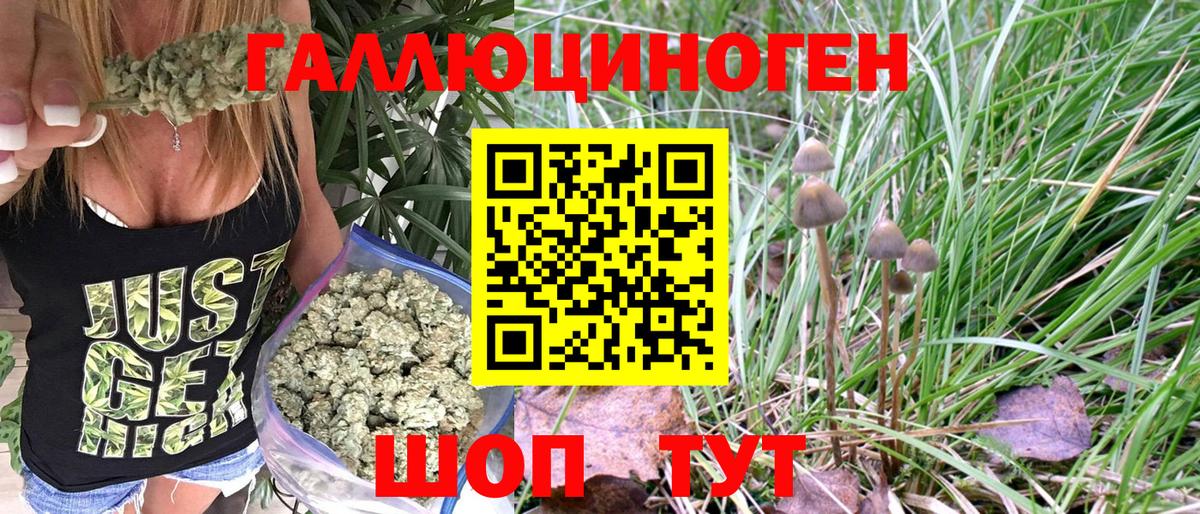 Галлюциногенные грибы GOLDEN TEACHER Тихорецк